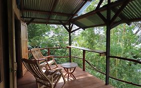 La Mariola - Finca Agroecologica